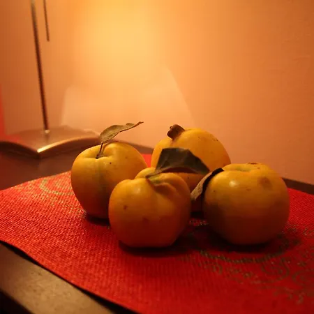 Momo's * Subotica